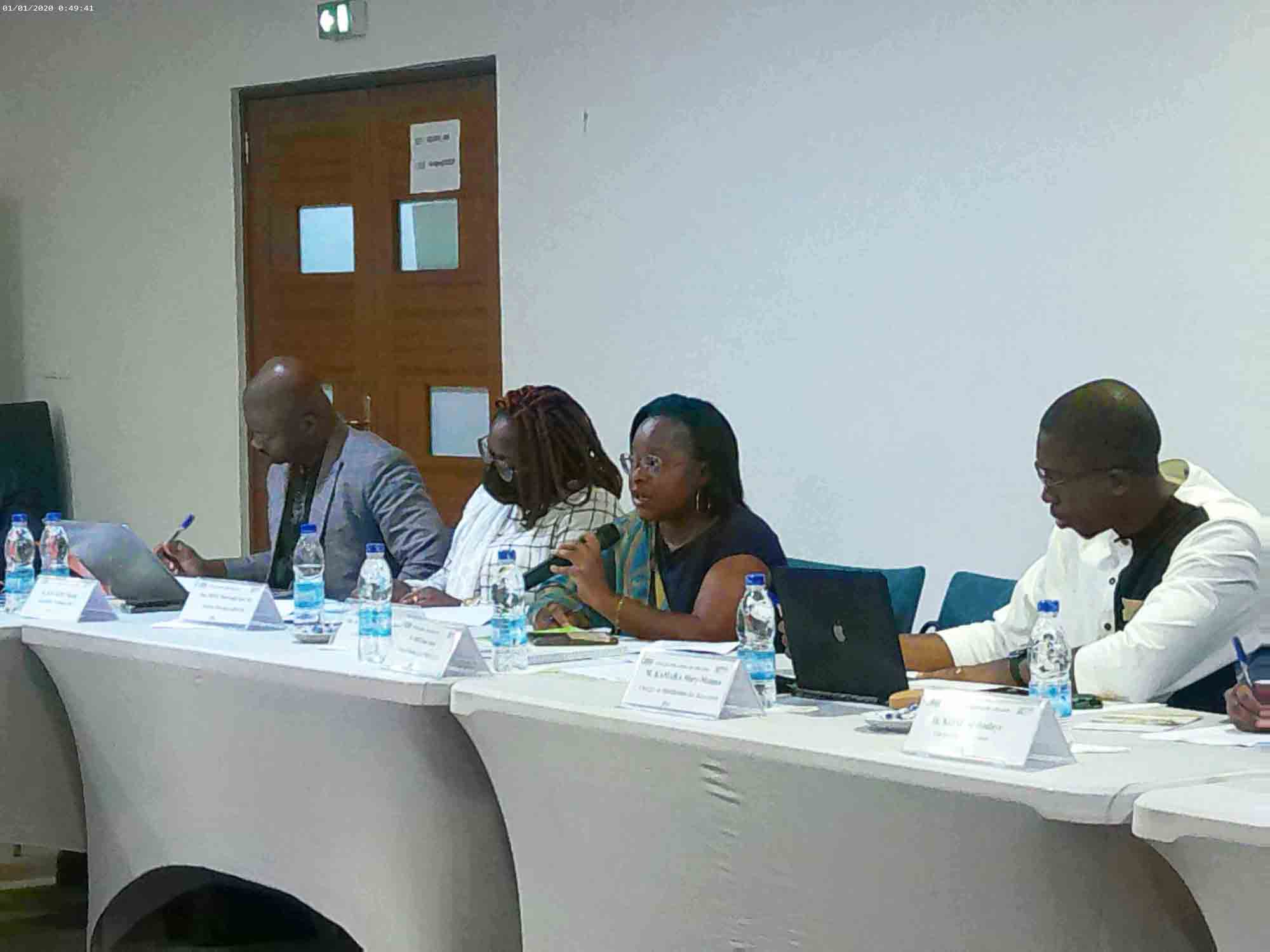 Gestion des fraudes et outils de préventions contre les pénuries des hydrocarbures et des gaz